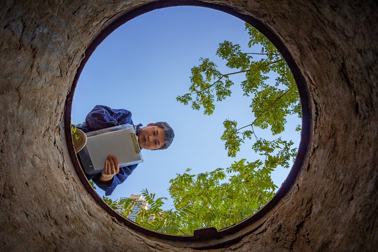 1541442839534913.jpg 1.jpg